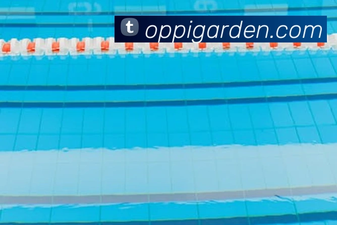 奖项证书
